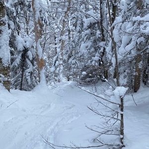 Meet your Posher, Tom